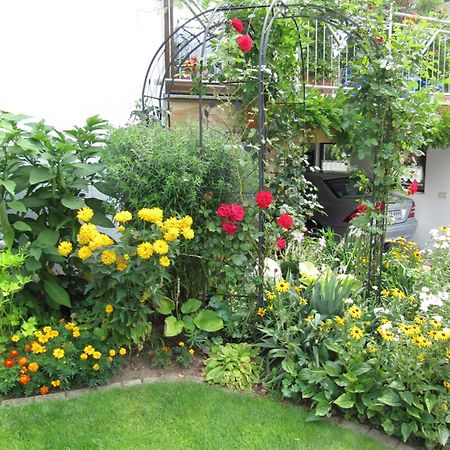 Abendstille Am Obstgarten Mit Terrasse Zapfendorf Exteriör bild